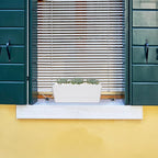 GREANER 16x3.8 Inch Window Boxes Planters, 1PCS White Vegetable Herb Planters with Tray, Indoor Succulent Cactus Flowers Plastic Rectangle Pot for Balcony, Office, Garden, Outdoor, Windowsill