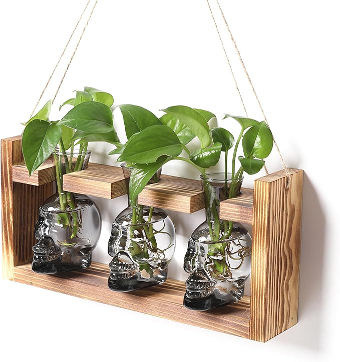 Terrarium Propagation Station, Skull Glass Vases, 3-Piece Set with Wood Stand