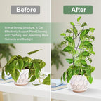 17.5 Inch Indoor Plant Trellis for Climbing Plants,Metal Trellis,Small Garden Trellis for Potted Plants,Plant Stakes for Indoor Plants Accessories Hoya,Flower,Plant Support (Star-Metal)