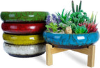 ARTKETTY Ceramic Succulent Planter, 10 inch with Stand, 2.2lb Lava Rock Pebbles, Planting Tools - Indoor Plants Planter, Yellow
