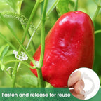 300 Pcs Plant Clips for Climbing Plants, Tomato Clips for Support, Plastic Garden Clips for Plants Grape Vine Vegetables Make Plant Grow Upright