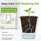 2 Pack Self Watering Pots for Plants, 8.4" Self Watering Planters Large African Violet Self Watering Clear Pots for Plants Large Herb Orchid Flower Houseplant Pots, Light Grey