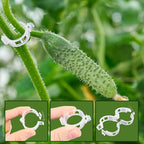 Anyumocz 400Pcs Plant Support Garden Clips,Plastic Grape Tomato Support Clip,Vegetable Vine Clips for Climbing Plants,Outdoor,Indoor(White)