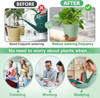 Aulock 6in Self Watering Pots for Indoor Plants - 3pcs Bottom Watering African Violet Planters with Drainage, Plastic Houseplant Flower Pots for Snake Plant Succulent Garden Live Plants