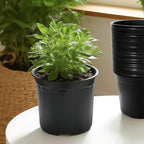 40 Pack 3 Gallon Nursery Plant Pots,10 Inch Plastic Garden Flower Seedling Planter Pot with Drainage Holes for Outdoor Indoor Plants,Gardening Gifts