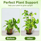 23in Plant Trellis Indoor, Trellis for Potted Plants with Butterfly, Garden Trellis Climber Support for Climbing Plants Pothos Hoya Vine