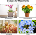 30 Pcs Plant Support Stakes with 30 Pcs Plant Clips Garden Floral Flower Support Single Stem Support Stake for Phalaenopsis Orchid Flower Roses Amaryllis