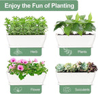 4-Piece White Rectangular Window Sill Planters with Drainage Holes and Trays (11 Inches) for Basil, Orchids, and Succulents Modern Herb Garden Planters Suitable for Indoor/Outdoor Plants