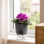 Planterhoma 8 Pack Self Watering Pots for Indoor Plants, 6 Inch Plant Pot Plastic Self Watering Planter for Orchid, African Violet, Small Clear Flower Pots with Drainage Holes and Wicking Rope, Gray