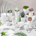 24 Pcs Self Watering Pots for Indoor Plants, 3 Inch White Plastic Self Watering Planters with Water Level Indicator - Perfect for Succulents