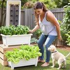 FAMZ Self Watering Planters Pots for Indoor Plants, 3 Pack 18.9 Inch Plastic Window Boxes Planters Herb Planter, Rectangle Rectangular Planter Windowsill Planters with Drainage and Saucer (White)