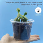 Clear Seedling pots 100-Pack 3.2 Inches Round for Seeds Starter Pots, Seeds Germination Transparent Clean Pots with Drainage Holes(100 Pcs, 3.14Inch)