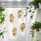 Glasseam Hanging Plant Propagation Stations: Boho Glass Wall Propagation vases Set of 4 - Wood Plant Holder Decorative Planters Terrarium Test Tube for Home Office Indoor Decor