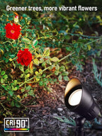 LEONLITE Low Voltage LED Landscape Spotlight, 5W 12V Pathway Lights Outdoor, CRI90, Aluminum Spot Lights for Garden, ETL Listed, IP65 Waterproof, 3000K Warm White, Oil Rubbed Bronze, Pack of 6