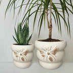 Terracotta Pots with Drainage Holes Bee Decor, Ceramic Pots for Indoor Plants Flower Pots Outdoor, Succulent, Herbs, Snake Plants (Beige, 8+6 Inch)