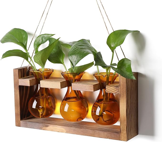 Terrarium Propagation Station, 3 Amber Glass Bulbs with Wooden Stand