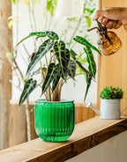 Melphoe Self Watering Pots for Indoor Plants Planter, 8.3/5.3 Inch 2 Pack Planters Self Watering Plant Pots for Flower, Houseplants, Succulent, African Violets and Cactus with Drainage