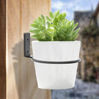 2 Pack 8 inch(203mm) Flower Pot Holder Ring, Flower Pot Holder Ring Wall Mounted Set Wall Mounted Metal Planter Hanger Matte Black Hanging Plant Holder