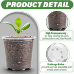 3.5" Clear Seeding Pots 100-Pack Round for Seeds Starter Pots, Seeds Germination Transparent Nursery Pots with Drainage Holes (100PCS)