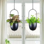 Stackable Metal Hanging Planters, Set of 2 Black Oval Plant Hangers with 6 inch Flower Pots, Modern Wall and Ceiling Plant Holders for Indoor Outdoor Plants Home Décor
