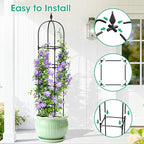 2 Pack Garden Obelisk Trellis for Climbing Plants, 71" Metal Rustproof Plant Support Rose Trellis, Tower Potted Cages for Flowers Fruits Vegetable Vines Indoor & Outdoor, Black(4 Tiers)