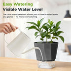 12 Pack Self Watering Plant Pots 6 Inches Self-Watering Planters for Indoor and Outdoor Plants African Violet Succulent Pots Clear Pot for Plants Large Herb Orchid Flower Houseplant Plant, Dark Grey