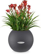 Lechuza Puro Color 20 Slate, Self-Watering Small Indoor Planter, D7.9 H6.3 in