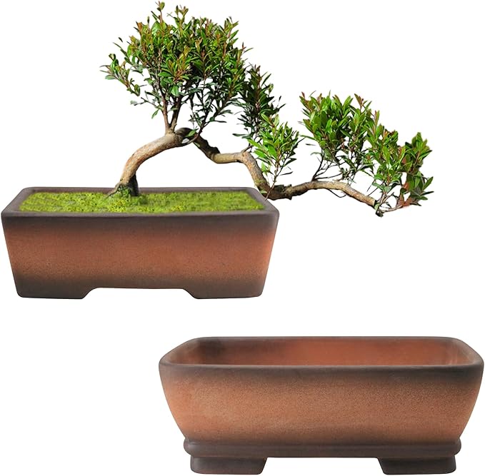 Rectangular Ceramic Planter Set of 2 with Drainage Holes, Gradient Terracotta