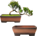 Rectangular Ceramic Planter Set of 2 with Drainage Holes, Gradient Terracotta