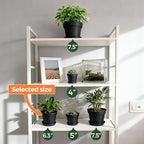 T4U 6 Inch Plant Pot 8-Pack, Plastic Planter with Drainage Hole and Saucer, Decorative Nursery Pots Bulk for African Violet, Snake Plant, Succulent, Herb and Plants Indoor (8 Pcs 6" Pots, Black)