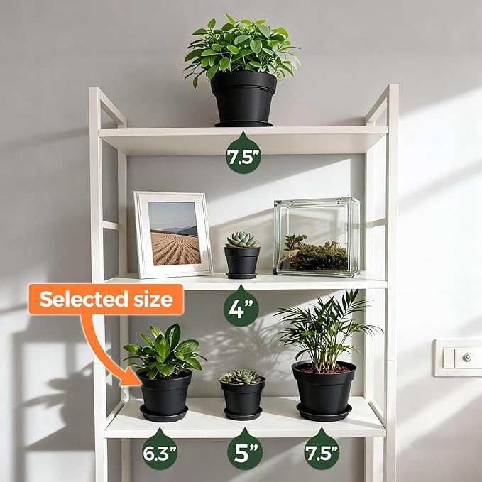 T4U 6 Inch Plant Pot 8-Pack, Plastic Planter with Drainage Hole and Saucer, Decorative Nursery Pots Bulk for African Violet, Snake Plant, Succulent, Herb and Plants Indoor (8 Pcs 6" Pots, Black)