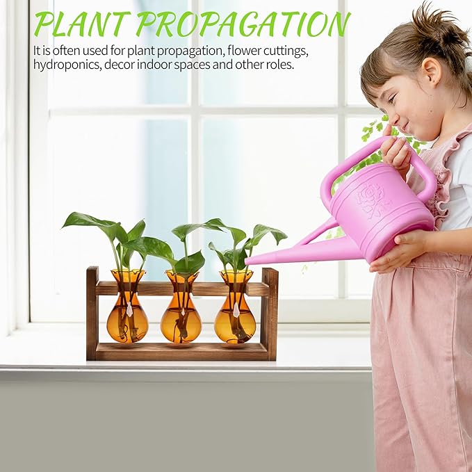 Terrarium Propagation Station, 3 Amber Glass Bulbs with Wooden Stand