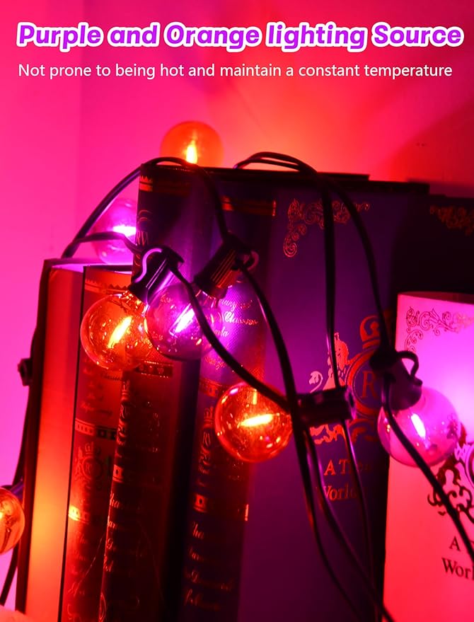 String Lights, 25 FT G40 LED Globe Lights with Orange and Purple Bulbs