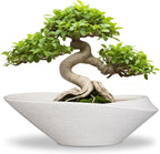 Planter Pot, 12 Inch Ceramic with Drainage Hole, White and Black