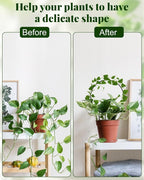 3 Pcs Unique Round Hoya Garden Trellis, Different Small Houseplant Trellis for Climbing Plant Indoor Outdoor, Garden Trellis Plant Support for Potted Ivy and Flowers (Black)