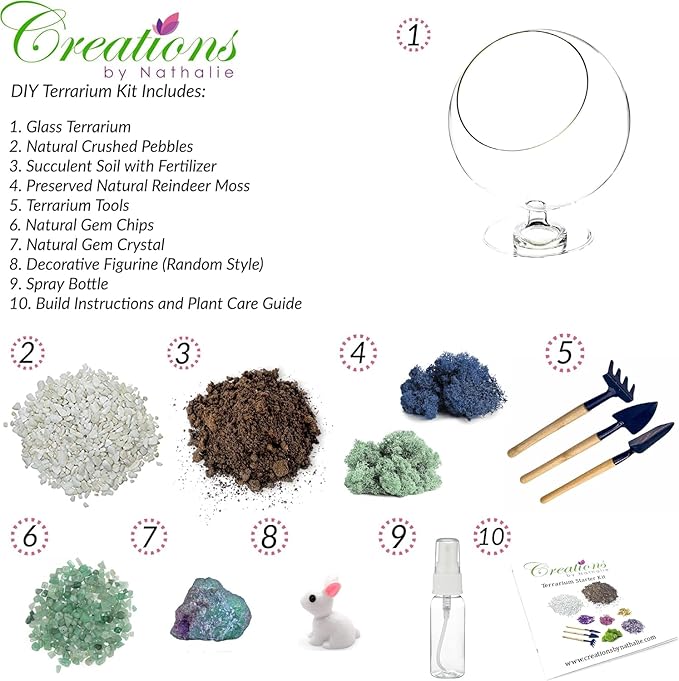 Glass Terrarium Kit with Oval Modern Design and Reindeer Moss