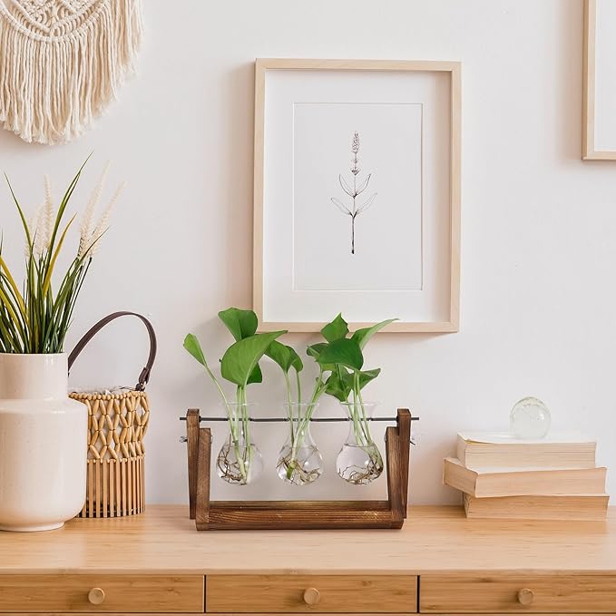 Propagation Station Terrarium, 3 Glass Vases with Wooden Stand