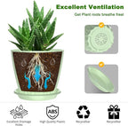 6 Pack 6 Inch Indoor Plant Pots with Drainage Holes, Outdoor Plastic Decorative Flower Pots, Garden Planters with Tray Saucers for Orchids, Violets, Succulents, Herbs, and Other Plants