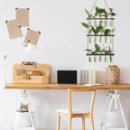 Terrarium Wall Hanging Propagation Station, 3-Tier Wood Frame, Glass Tubes