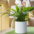 Planter Pots, Set of 2 Matte White Plastic Modern Planters with Saucers