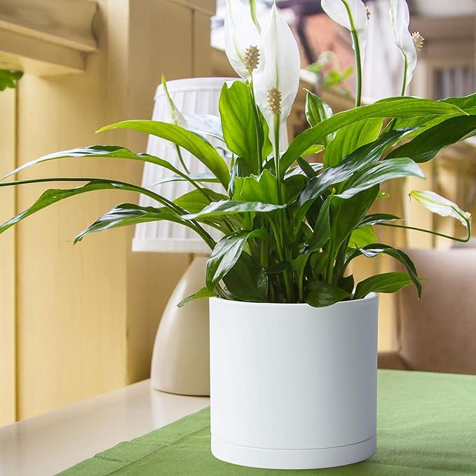 Planter Pots, Set of 2 Matte White Plastic Modern Planters with Saucers