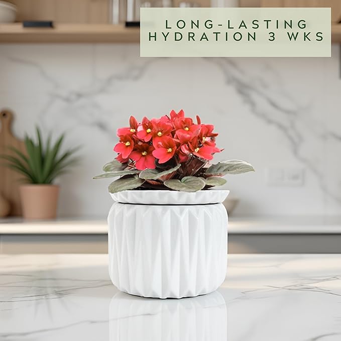 6 Inch African Violet Pots Self Watering, Ceramic Planter with Water Reservoir and Fill Lines, 4 Inch Opening, Indoor Flower Pot, Holds 3 Weeks of Water (1 Pack)