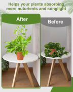 16 Inch U-Shaped Acrylic Plant Trellis, 2 Pcs Extended Hoya Trellis for Supporting Potted Climbing Plants, Small Houseplant Trellis Garden Accessory for Potted Ivy Indoor Outdoor