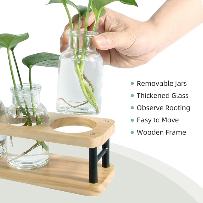 Terrarium Propagation Station, Wood Stand with 3 Glass Jars