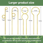 14.17in Plant Trellis Indoor, 4.2mm Dia Gold Small Trellis for Potted Plants, Metal Trellis for Climbing Plants Indoor Support for houseplant Hoya Photos Succulents Hostas, Plant Decor