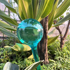 Plant Watering Stakes, Large 12pcs Flower Automatic Watering Bulbs, Plastic Plant Flower Self Watering Globes, Garden Self Watering Planter Insert for Daily Watering