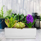 Vencer 14 Inch Rectangular Modern Minimalist Ceramic Succulent Planter Pot - Window Box with Saucer,Office Desktop Potted Stand,White,VF-0173W