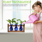 Terrarium Propagation Station, 3 Blue Borosilicate Glass Bulbs, Wooden Stand