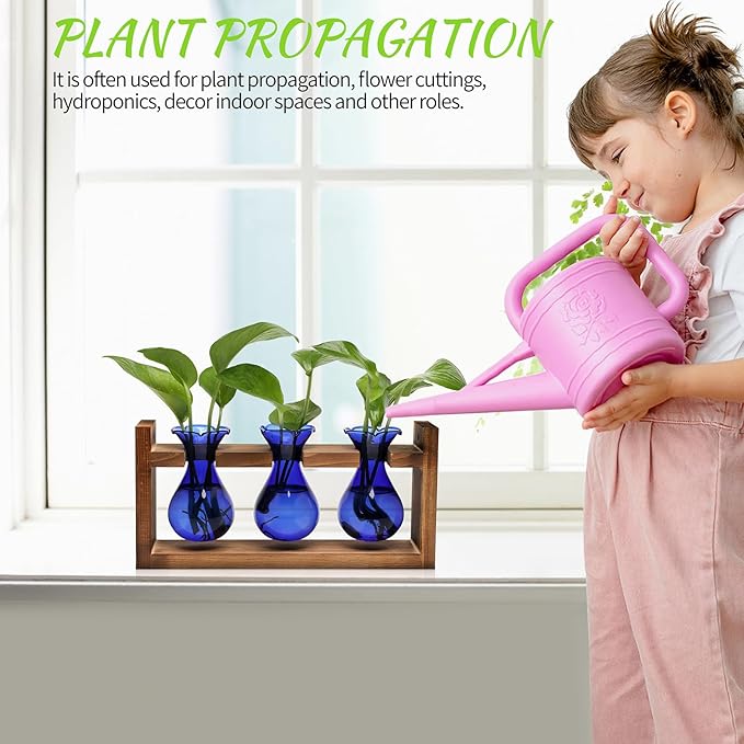 Terrarium Propagation Station, 3 Blue Borosilicate Glass Bulbs, Wooden Stand