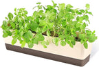 GREANER Window Boxes, 1 Pack 16 x3.8 Inch Indoor Rectangle Planter, Herb Succulent Cactus Window Box with Saucer, Modern Plastic Plant Pot for Windowsill, Garden Balcony, Home Office Outdoor Decor